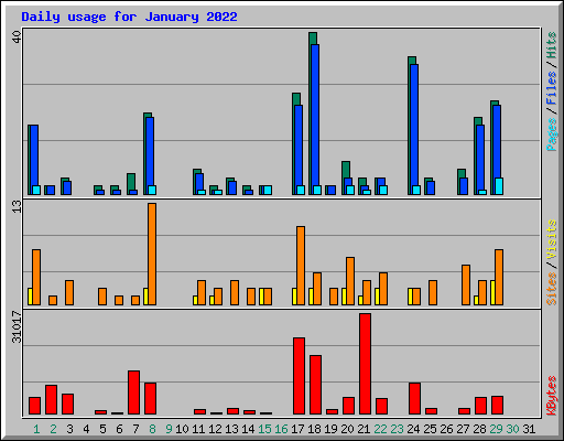 Daily usage for January 2022