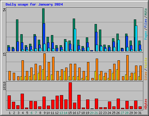 Daily usage for January 2024