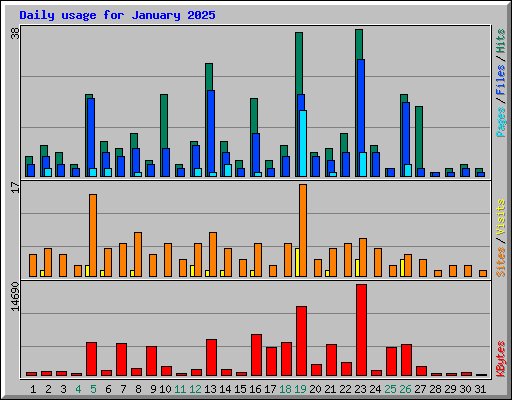 Daily usage for January 2025