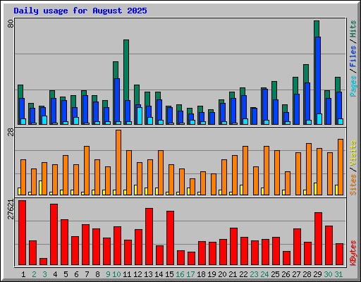 Daily usage for August 2025
