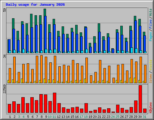 Daily usage for January 2026