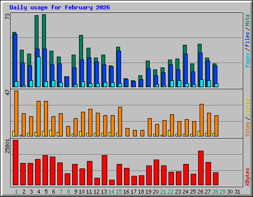 Daily usage for February 2026