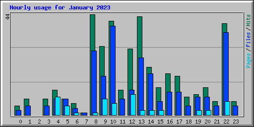 Hourly usage for January 2023
