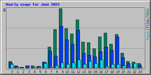 Hourly usage for June 2023
