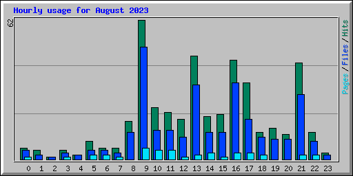 Hourly usage for August 2023