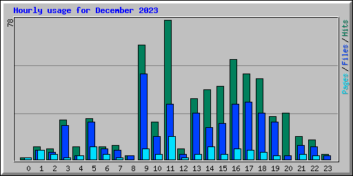 Hourly usage for December 2023