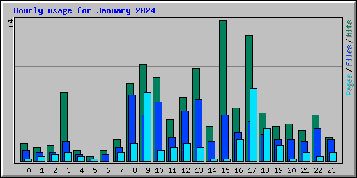 Hourly usage for January 2024