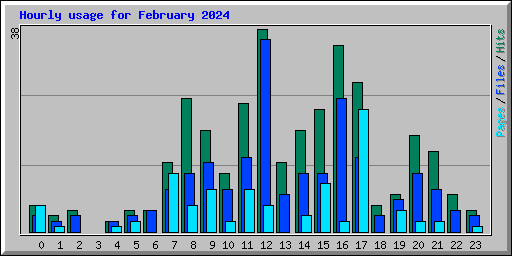 Hourly usage for February 2024