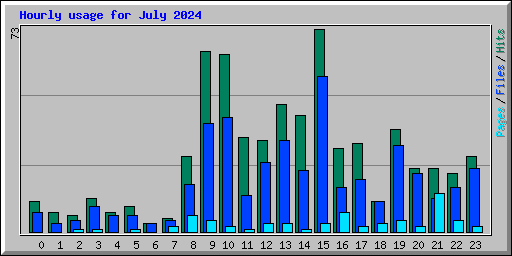 Hourly usage for July 2024