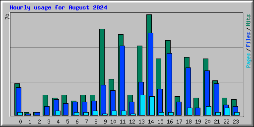 Hourly usage for August 2024