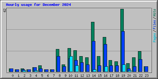 Hourly usage for December 2024