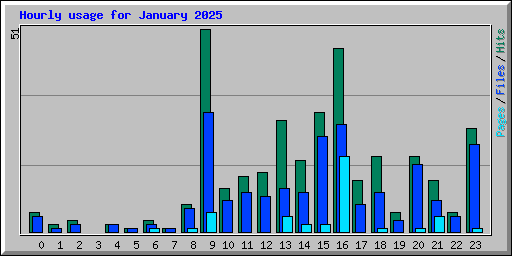 Hourly usage for January 2025