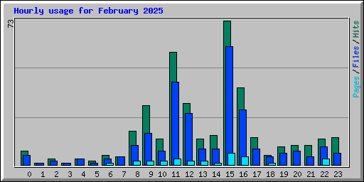 Hourly usage for February 2025