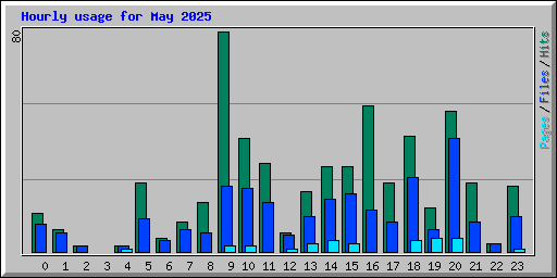 Hourly usage for May 2025