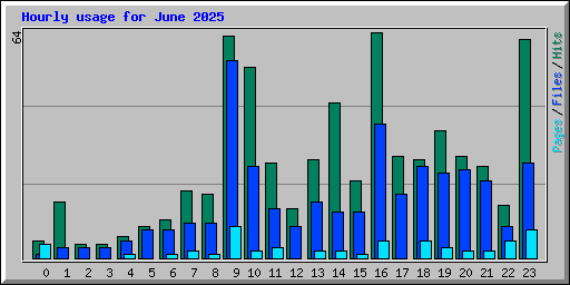 Hourly usage for June 2025