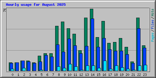 Hourly usage for August 2025