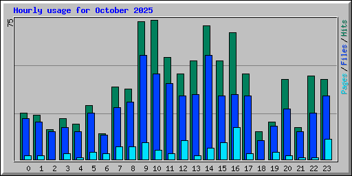 Hourly usage for October 2025