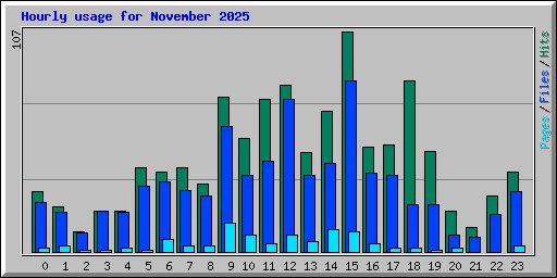 Hourly usage for November 2025