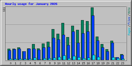 Hourly usage for January 2026
