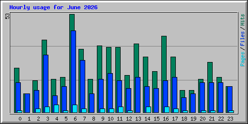 Hourly usage for June 2026